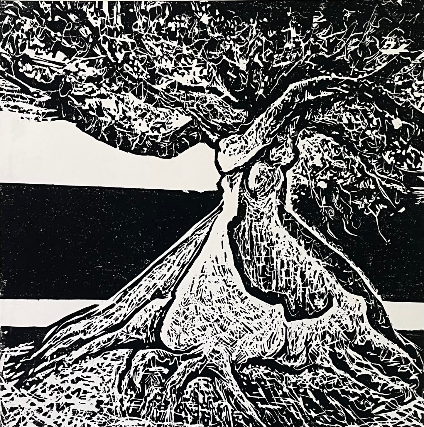 Ceiba I, II & III