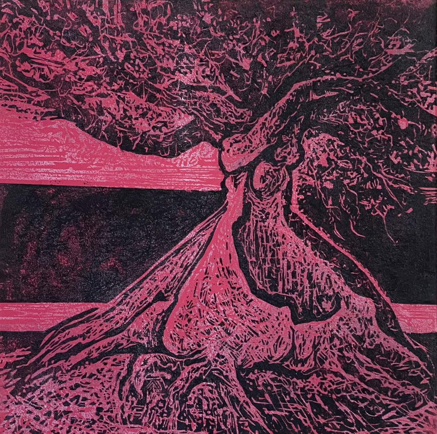Ceiba I, II & III